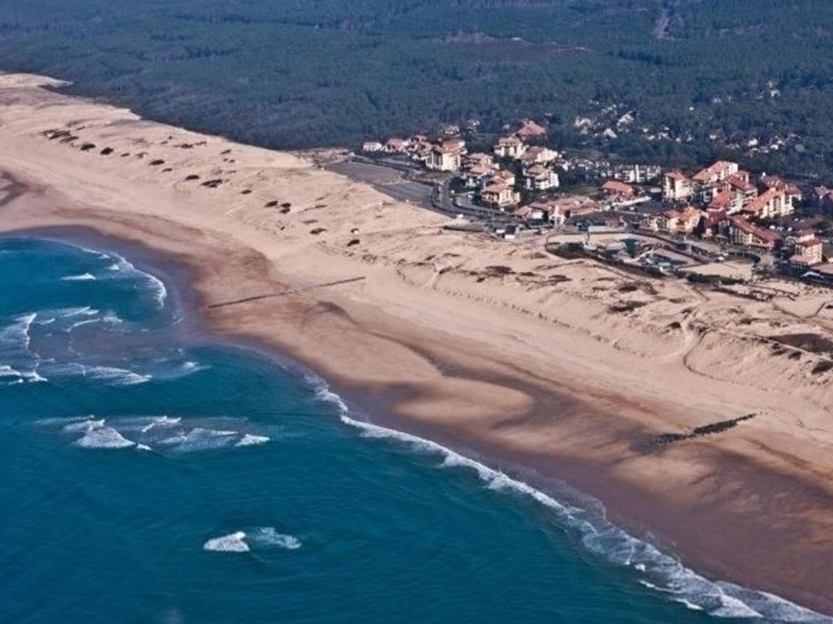 Appartement Renove Avec Balcon, Proche Plage Et Marche - 4 Pers, Calme & Confort A Seignosse - Fr-1-239-460 Kültér fotó